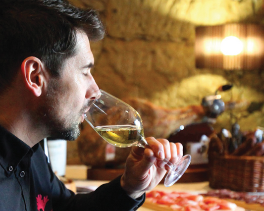 Douro Valley Wine & Cruise (Half Day Tour)