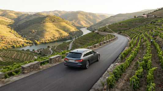 Porto to Douro Valley Private Transfer (Régua / Pinhão)