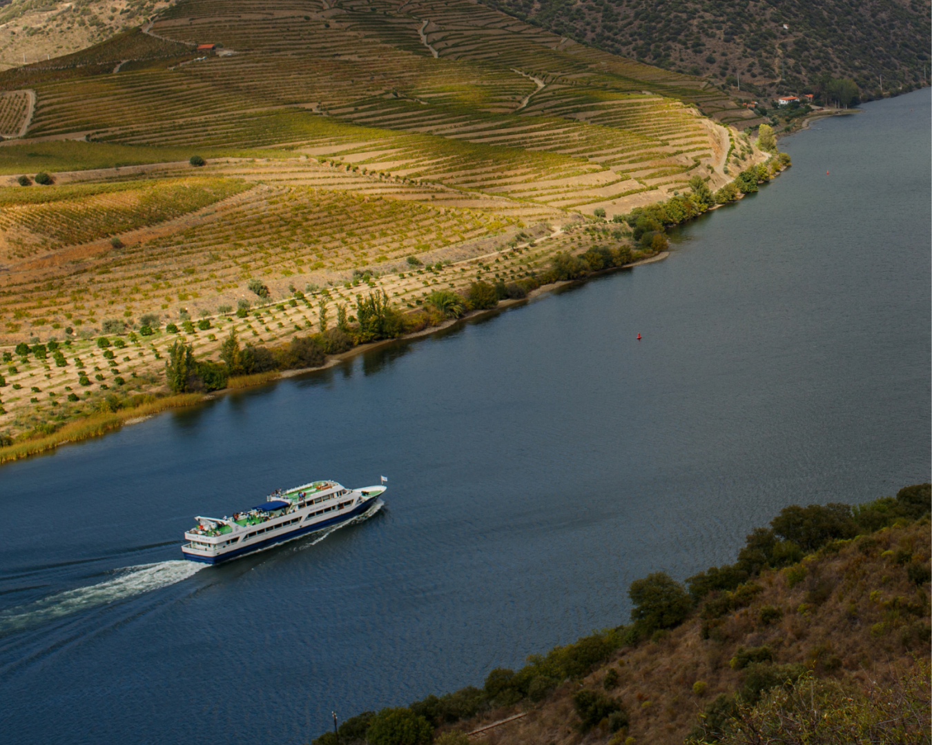 Rota do Douro – Porto to Régua & Back (Upstream)