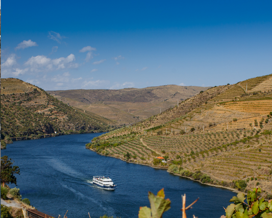 Rota do Douro – Porto to Régua & Back (Upstream)