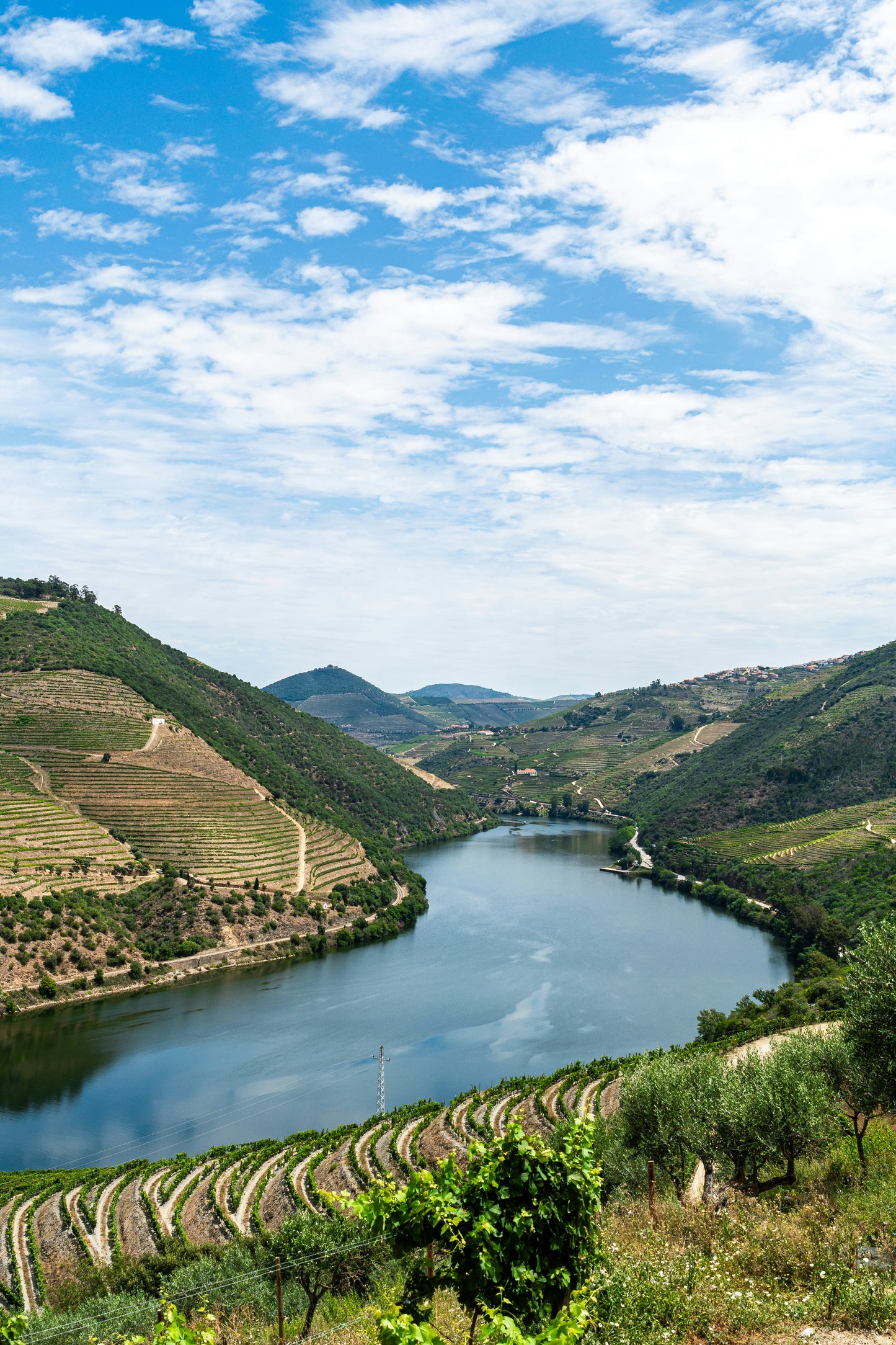 Rota do Douro – Régua To Pocinho & Back (Downstream)