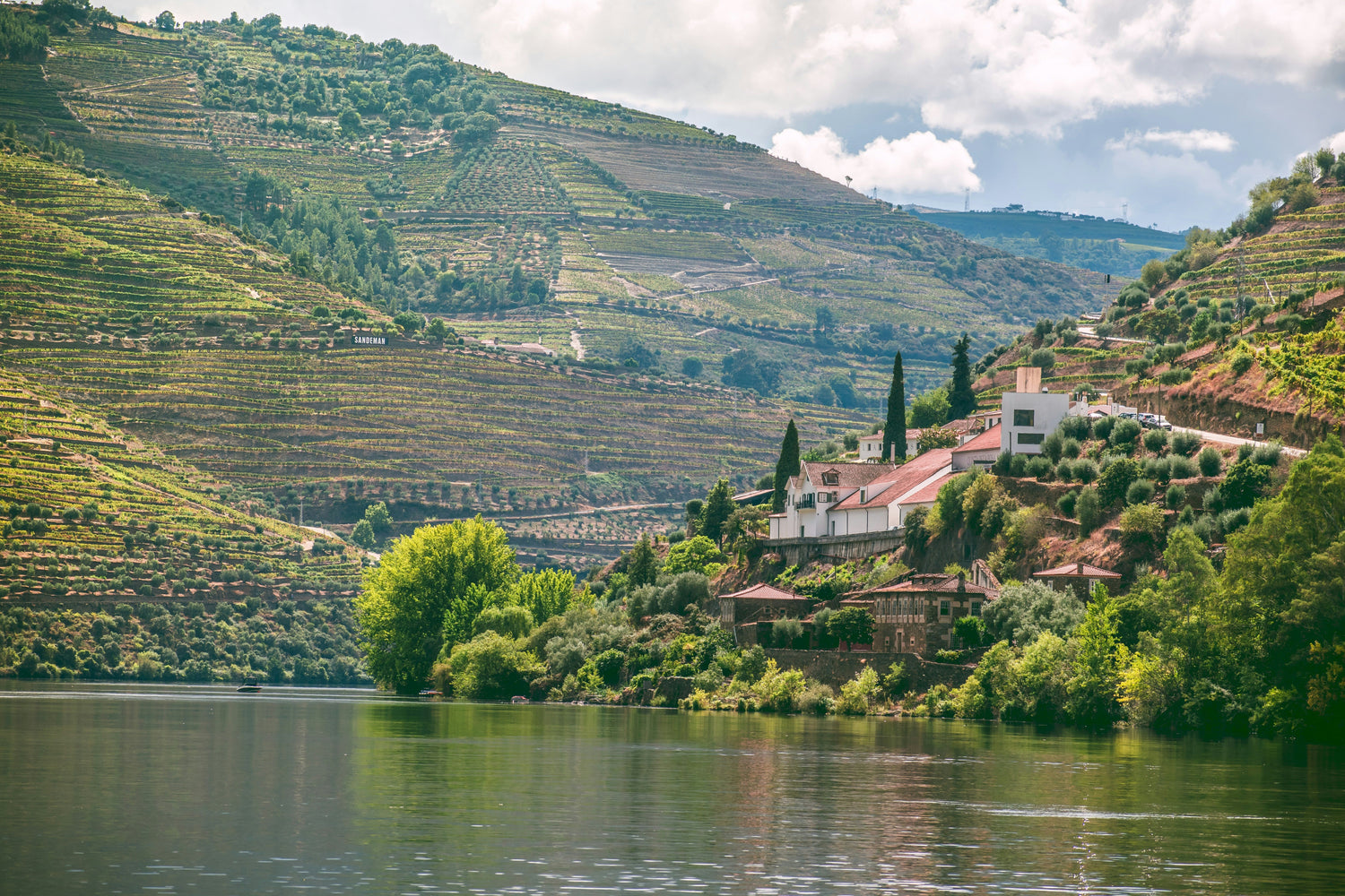 Douro Valley Cruises