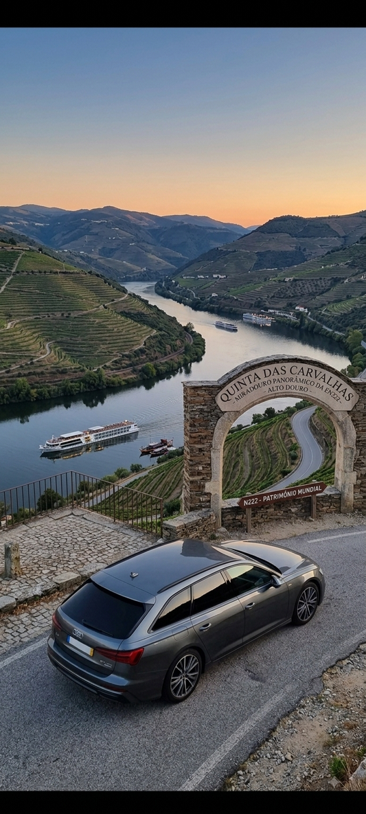 Porto to Douro Valley Private Transfer (Régua / Pinhão)