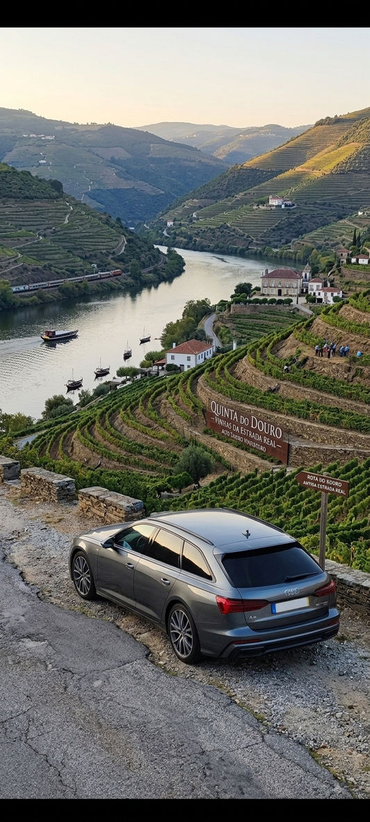 Porto to Douro Valley Private Transfer (Régua / Pinhão)