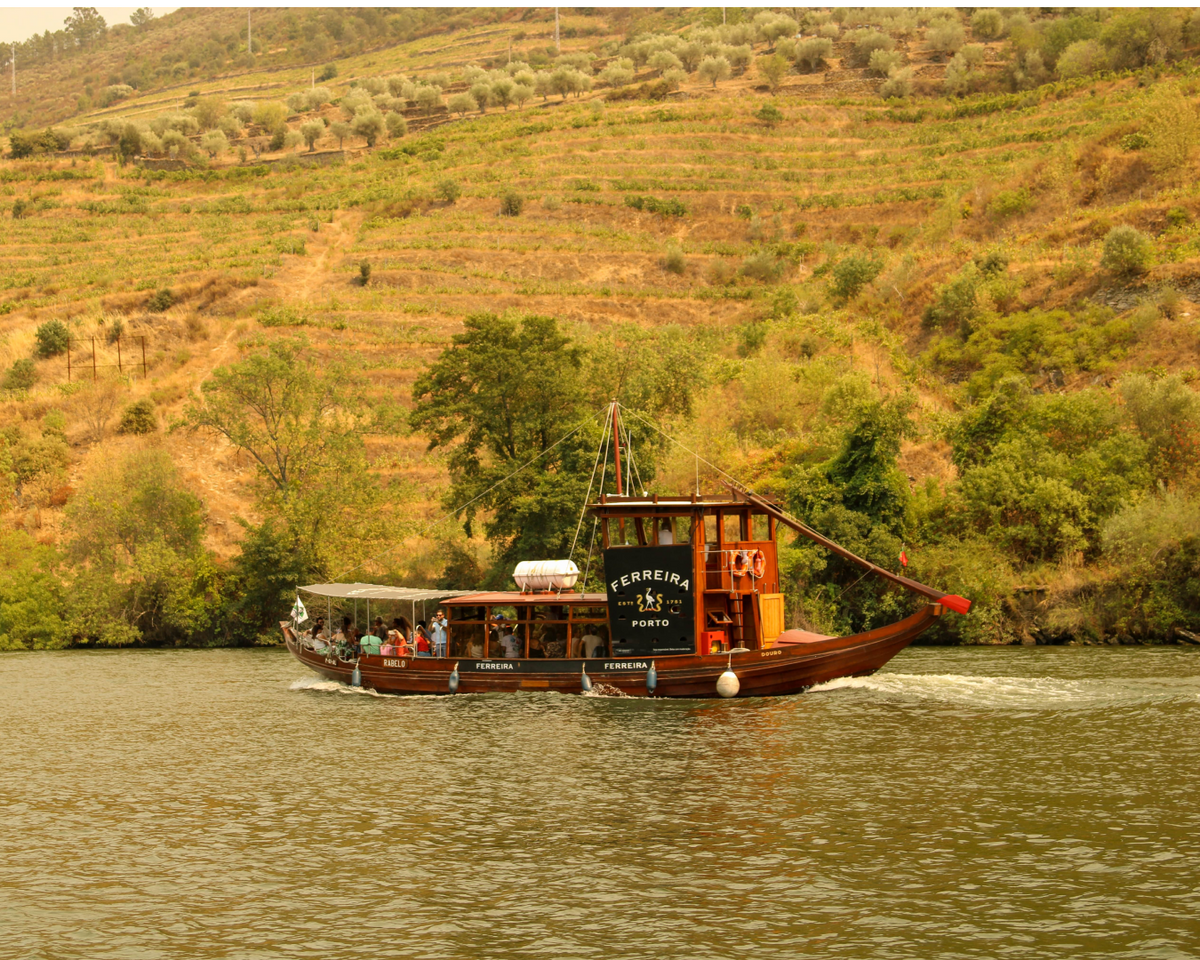 Wine Tour Douro Valley