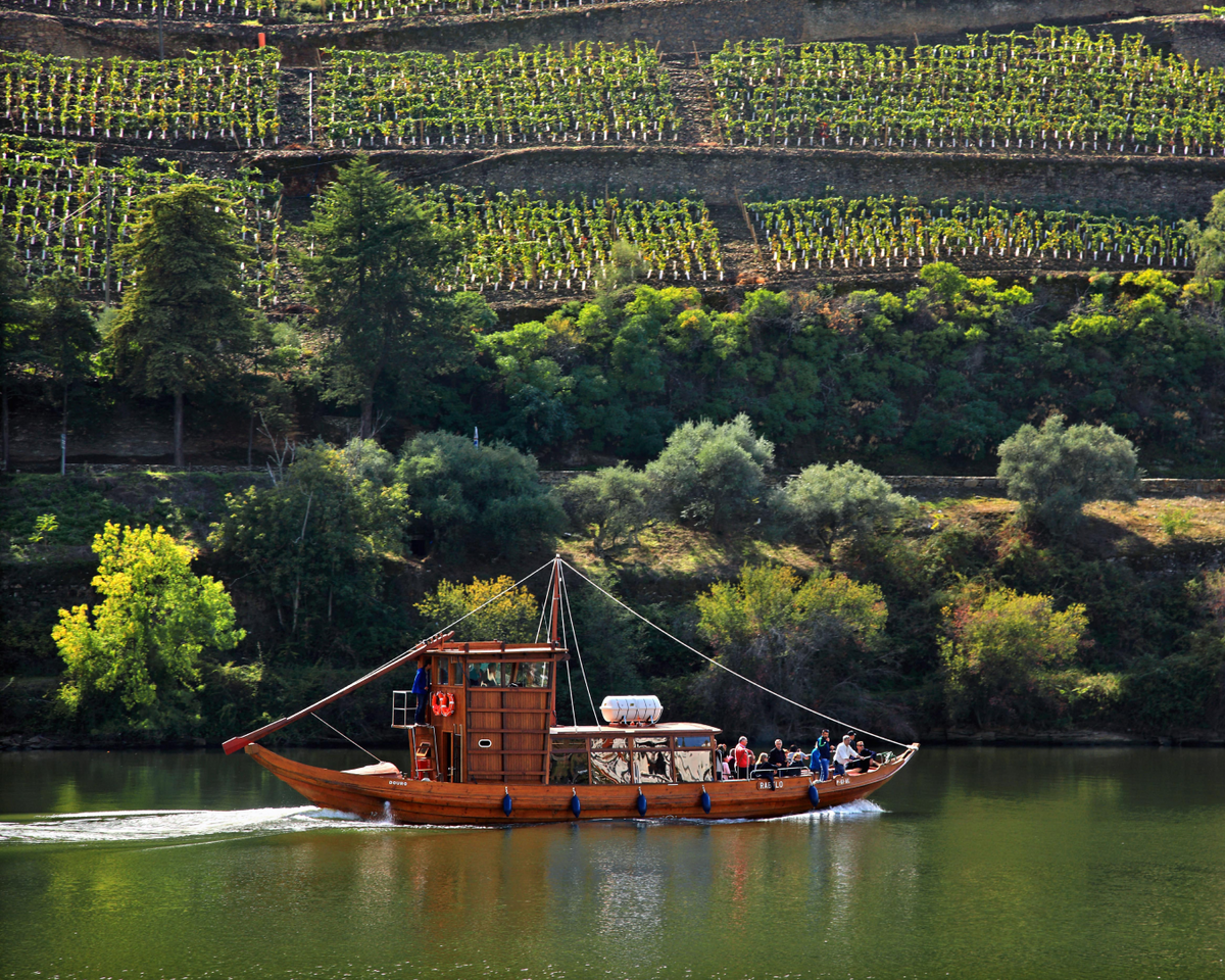 Douro Historical Tour