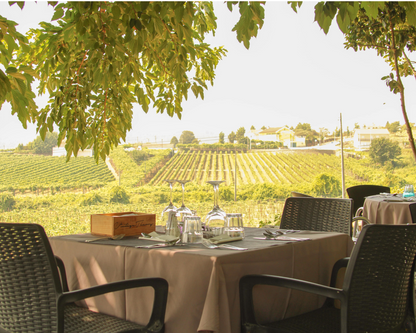 Wine Tour Douro Valley