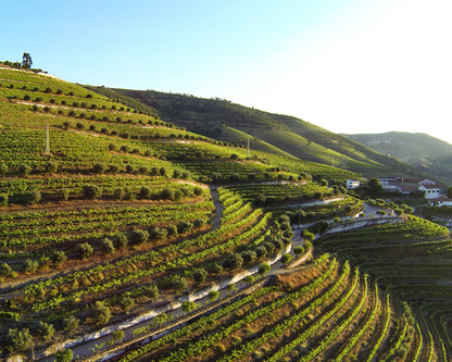 Douro Valley Small Group Tour