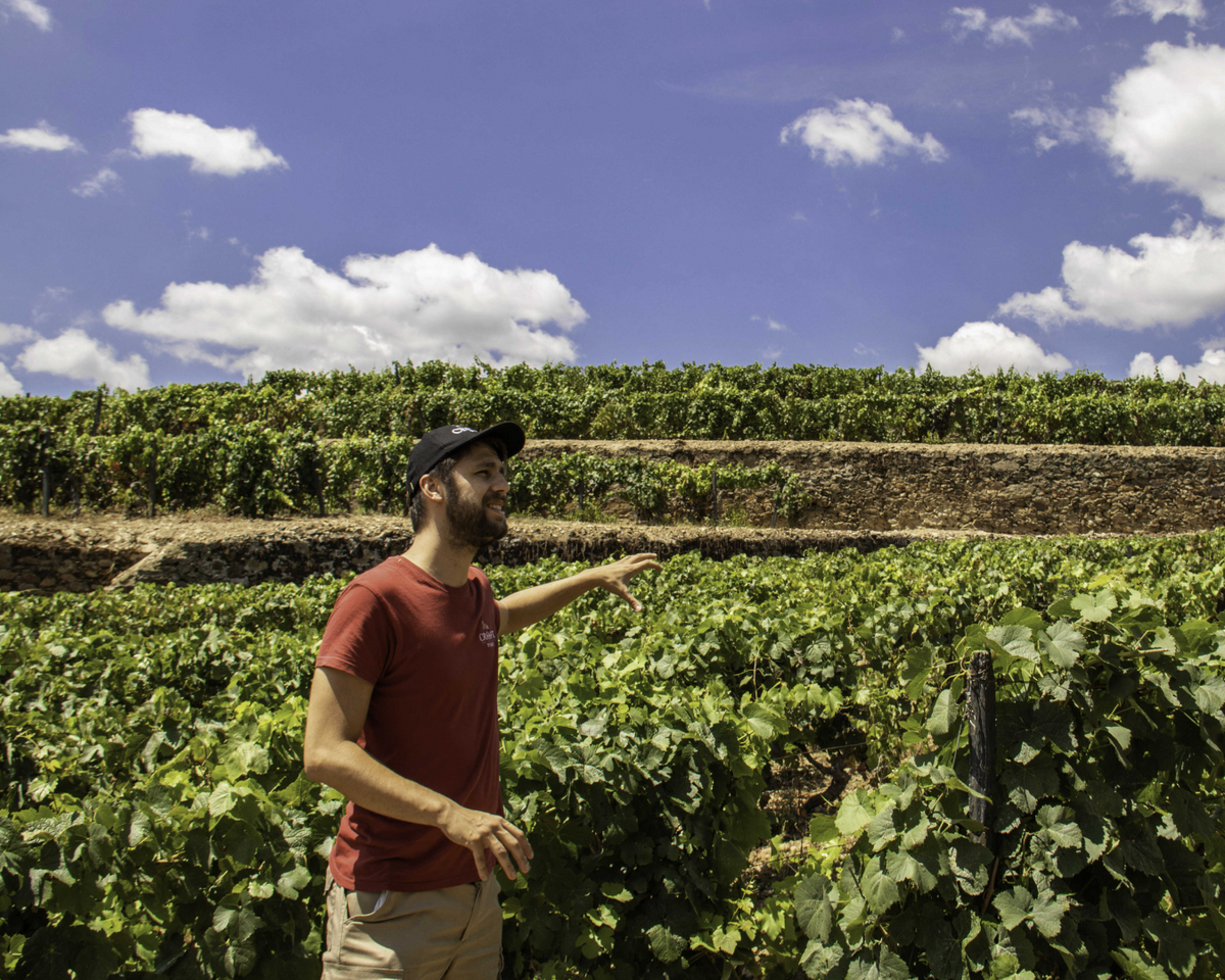 Douro Historical Tour
