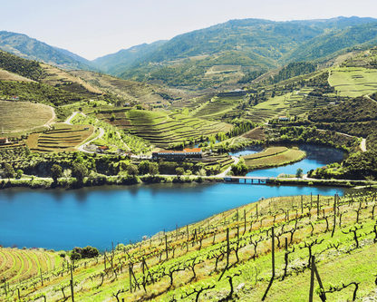 Wine Tour Douro Valley