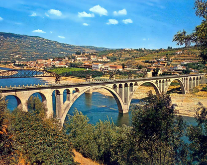 Douro Historical Tour
