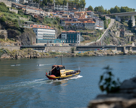 Porto City Tour (Full Day Tour)