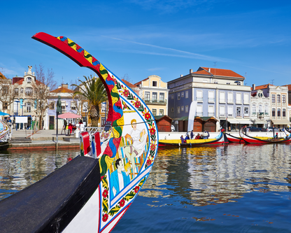 Aveiro & Costa Nova Tour