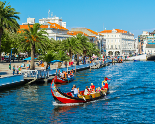 Aveiro & Costa Nova Tour (Half Day Tour)