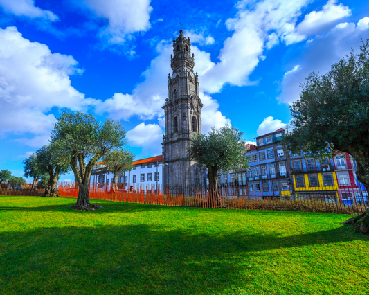 Porto City Tour (Half Day Tour)