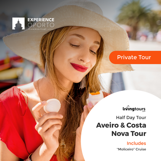 PRIVATE Aveiro & Costa Nova Tour (Half Day Tour)
