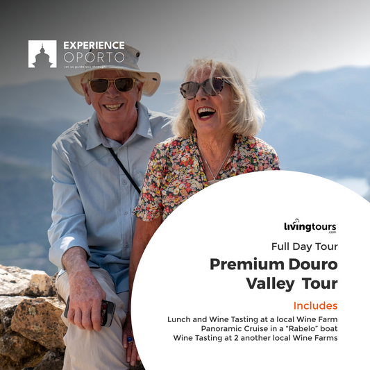 Douro Valley Small Group Tour (Full Day)