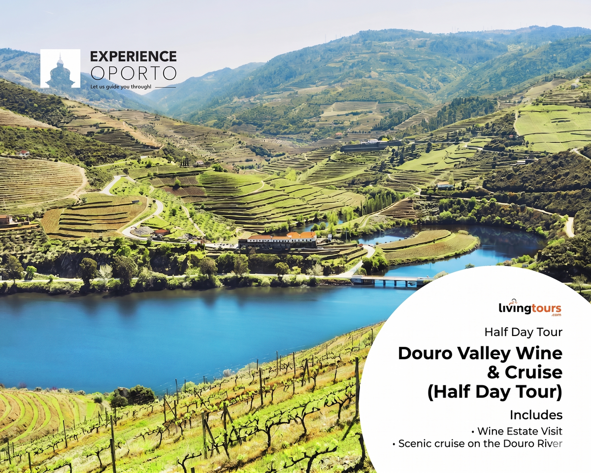 Douro Valley Wine & Cruise (Half Day Tour)