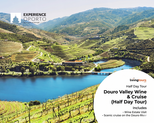 Douro Valley Wine & Cruise (Half Day Tour)