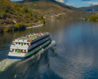 Rota do Douro – Régua To Pocinho & Back (Downstream)