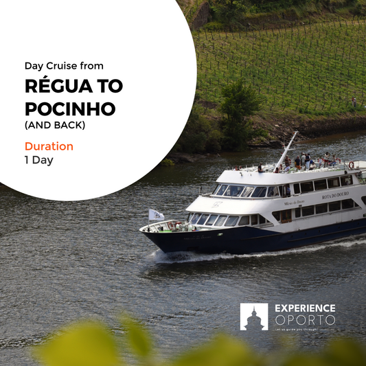 Rota do Douro – Régua To Pocinho & Back (Downstream)