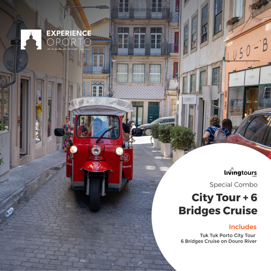 Living Tours – City Tour & 6 Bridges Cruise