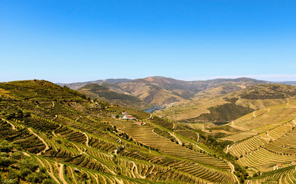 Rota do Douro – Régua To Pocinho & Back (Downstream)
