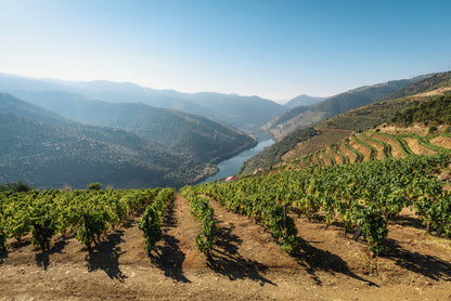 Rota do Douro – Porto to Pinhão & Back (TWO DAYS)