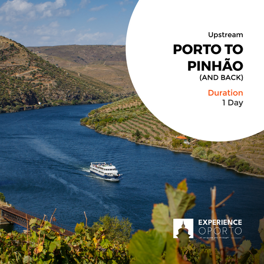 Rota do Douro – Porto to Pinhão & Back (Upstream)
