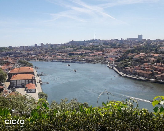 Ciclo – Porto Riverbank Tour