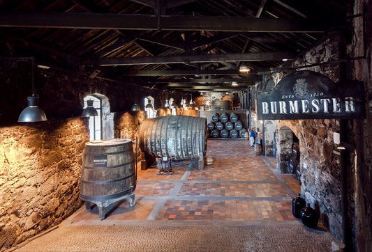 48h  Gray Line – Bus + Burmester Wine Cellars