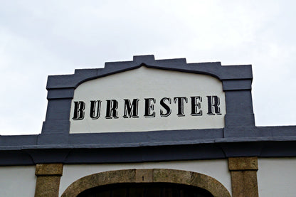 Porto Hop-On Hop-Off 48H + Burmester Wine Cellars