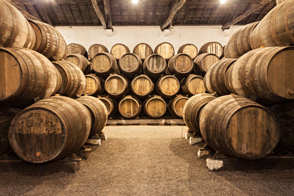 Porto All-In-One — 48H Bus + Cruise + Wine